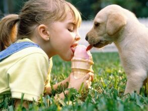 une fille mange de la crème glacée avec un chien et est infectée par des parasites